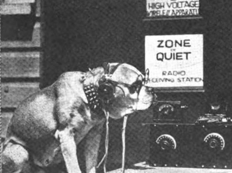 A bulldog wearing glasses and headphones sits seriously in front of a 1920s radio set.